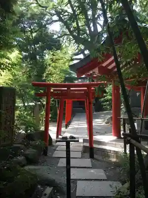 來宮神社の鳥居
