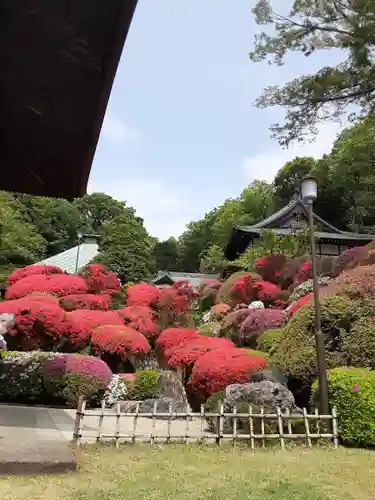 等覚院(神奈川県)