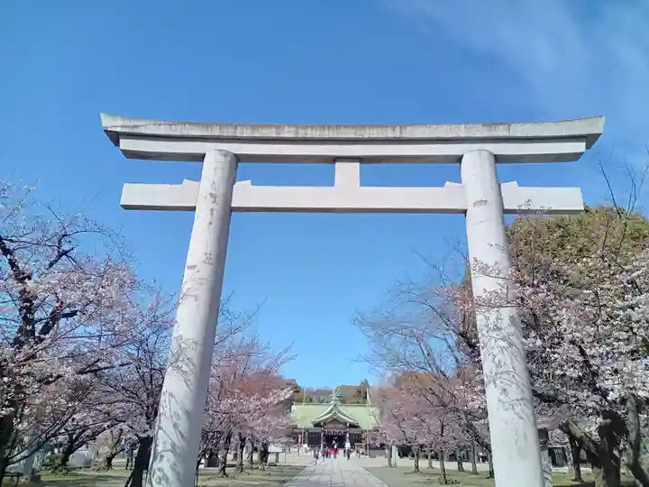 大阪護國神社の鳥居
