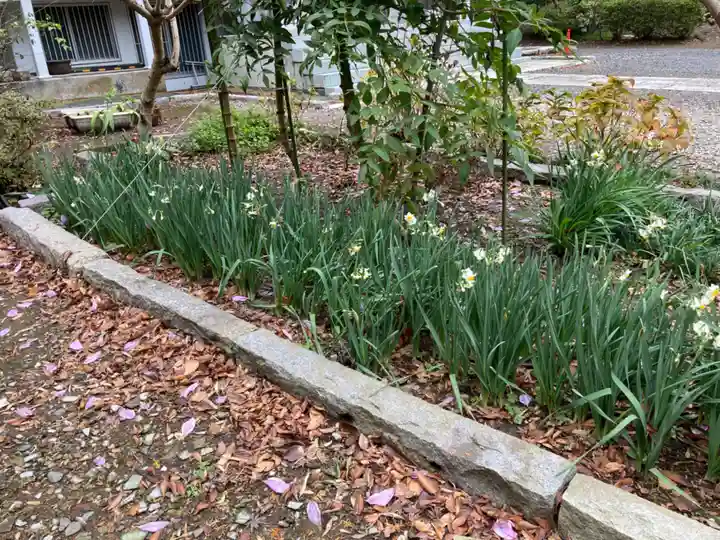 妙伝寺(妙傳寺)の自然