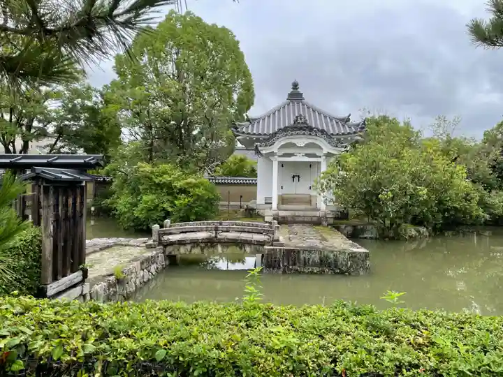 妙心寺(妙心禅寺)(京都府)