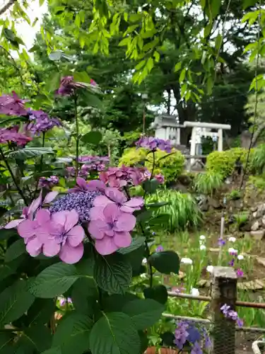 鳩森八幡神社の庭園
