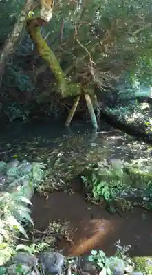 大生神社の自然