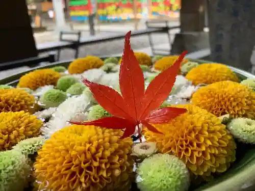 滑川神社 - 仕事と子どもの守り神の手水舎