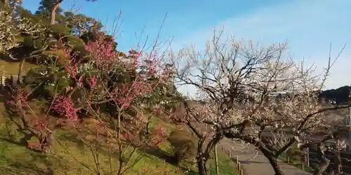 茨城縣護國神社の周辺