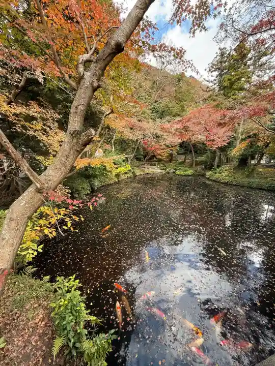 鶴岡八幡宮の{uncategorized: "未分類", other: "その他", undefined: "問題あり", building: "その他建物", grave: "お墓", sacred_gate: "鳥居", guardian: "狛犬", statue: "像", buddha: "仏像", history: "歴史", nature: "自然", garden: "庭園", animal: "動物", pagoda: "塔", temizu: "手水舎", mountain_gate: "山門・神門", sanctuary: "本殿・本堂", subordinate: "末社・摂社", art: "芸術", scenery: "景色", jizo: "地蔵", ema: "絵馬", goshuin: "御朱印", omikuji: "おみくじ", items: "授与品その他", amulet: "お守り", goshuincho: "御朱印帳", eats: "食事", festival: "お祭り", votive_dance: "神楽", shichigosan: "七五三参", wedding: "結婚式", experience: "体験その他", initially: "初詣", around: "周辺", anti_infection: "感染症対策"}