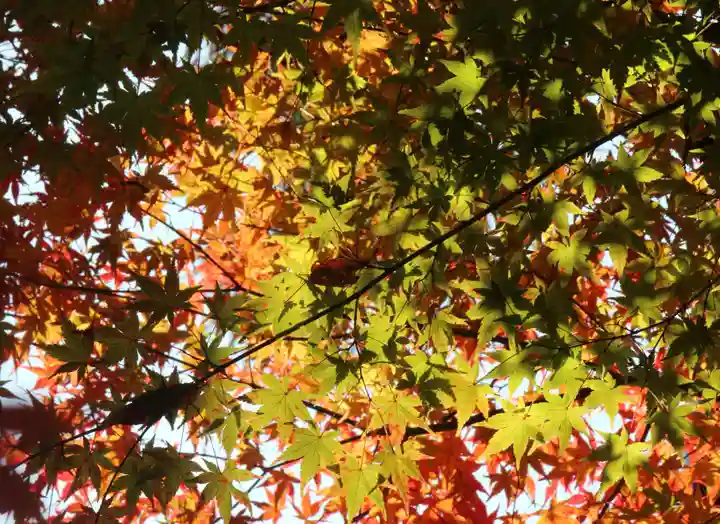 国宝 大法寺(長野県)