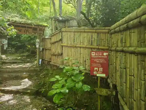 滝口寺(京都府)