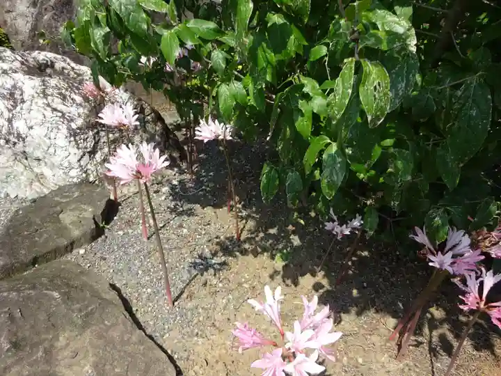 横浜 西方寺の自然