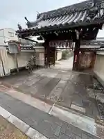 地蔵院(椿寺)(京都府)