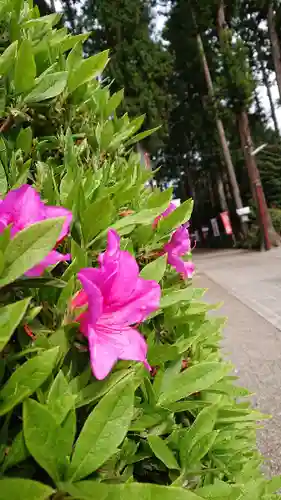 芳賀天満宮の自然