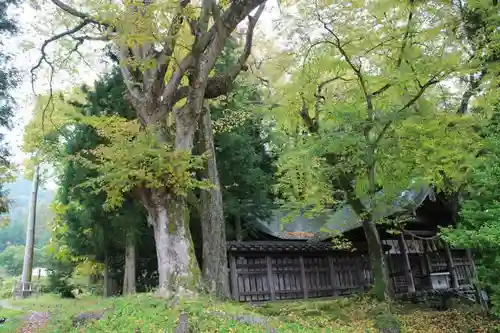 諏訪大社上社前宮の自然