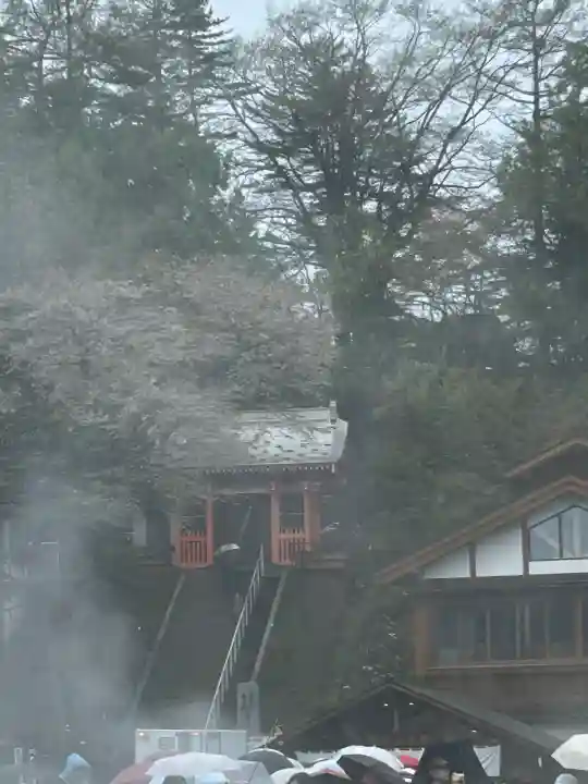 光泉寺の{uncategorized: "未分類", other: "その他", undefined: "問題あり", building: "その他建物", grave: "お墓", sacred_gate: "鳥居", guardian: "狛犬", statue: "像", buddha: "仏像", history: "歴史", nature: "自然", garden: "庭園", animal: "動物", pagoda: "塔", temizu: "手水舎", mountain_gate: "山門・神門", sanctuary: "本殿・本堂", subordinate: "末社・摂社", art: "芸術", scenery: "景色", jizo: "地蔵", ema: "絵馬", goshuin: "御朱印", omikuji: "おみくじ", items: "授与品その他", amulet: "お守り", goshuincho: "御朱印帳", eats: "食事", festival: "お祭り", votive_dance: "神楽", shichigosan: "七五三参", wedding: "結婚式", experience: "体験その他", initially: "初詣", around: "周辺", anti_infection: "感染症対策"}