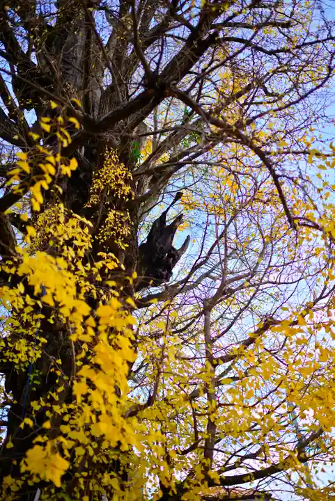 飛木稲荷神社(東京都)