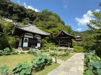 三室戸寺(京都府)