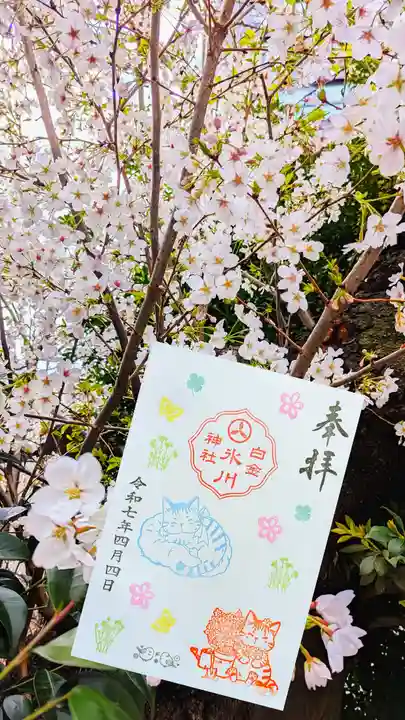 白金氷川神社の御朱印