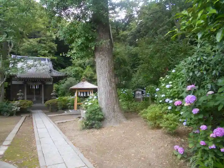 蛇苦止明神(蛇苦止堂)の周辺