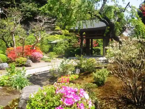 海蔵寺の庭園