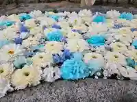 浄誓寺の{uncategorized: "未分類", other: "その他", undefined: "問題あり", building: "その他建物", grave: "お墓", sacred_gate: "鳥居", guardian: "狛犬", statue: "像", buddha: "仏像", history: "歴史", nature: "自然", garden: "庭園", animal: "動物", pagoda: "塔", temizu: "手水舎", mountain_gate: "山門・神門", sanctuary: "本殿・本堂", subordinate: "末社・摂社", art: "芸術", scenery: "景色", jizo: "地蔵", ema: "絵馬", goshuin: "御朱印", omikuji: "おみくじ", items: "授与品その他", amulet: "お守り", goshuincho: "御朱印帳", eats: "食事", festival: "お祭り", votive_dance: "神楽", shichigosan: "七五三参", wedding: "結婚式", experience: "体験その他", initially: "初詣", around: "周辺", anti_infection: "感染症対策"}