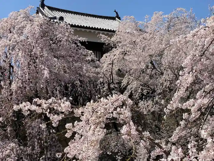 眞田神社の自然