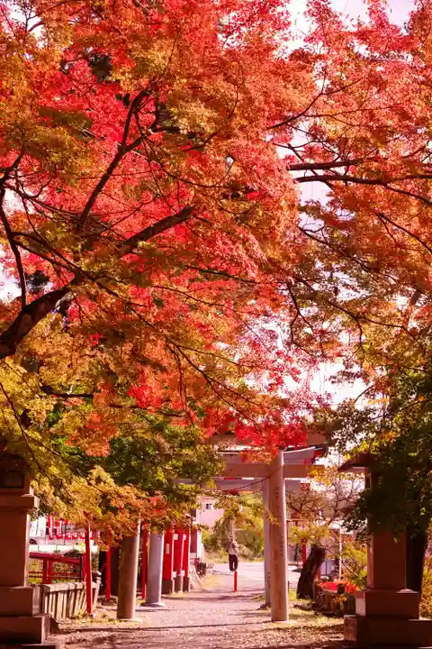 鼻顔稲荷神社(長野県)