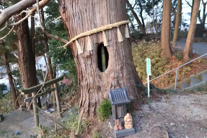 阿久津「田村神社」(郡山市阿久津町)旧社名:伊豆箱根三嶋三社の自然