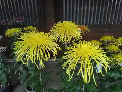 寒川神社(神奈川県)