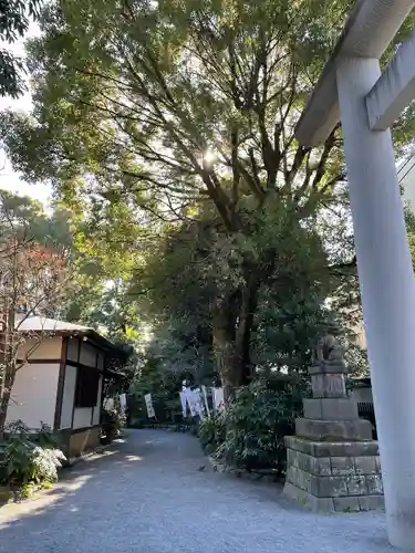 阿佐ヶ谷神明宮(東京都)