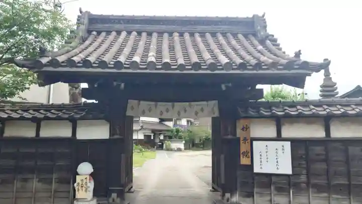 四季桜の寺 妙乗院(愛知県)