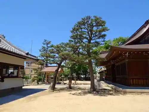 舞子六神社／まいこむの宮(兵庫県)