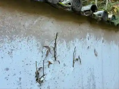 龍野神社(兵庫県)