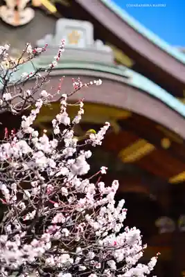 湯島天満宮(東京都)