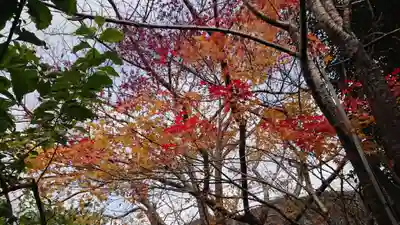 長谷寺(静岡県)