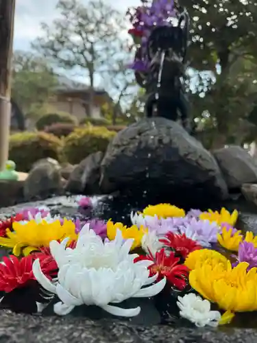 大鏑神社の御朱印