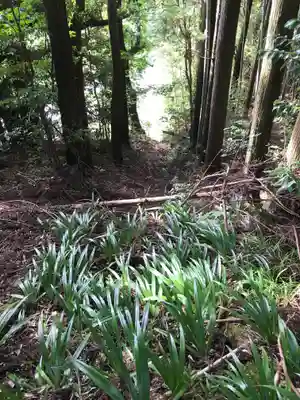 山王神社の周辺