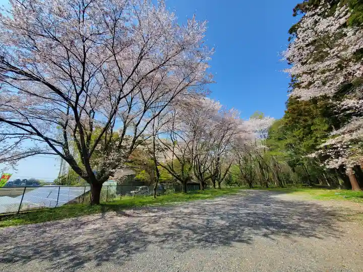 中村八幡宮の自然
