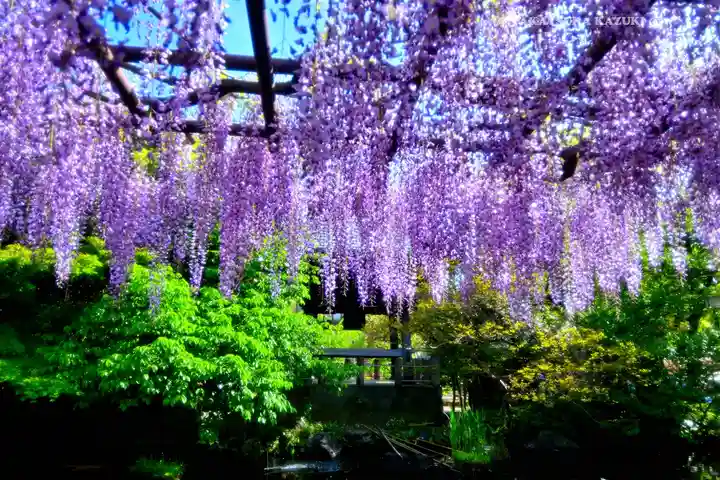 西新井大師総持寺(東京都)
