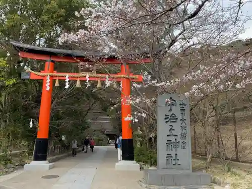 宇治上神社の鳥居