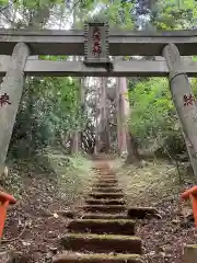 天満天神の鳥居