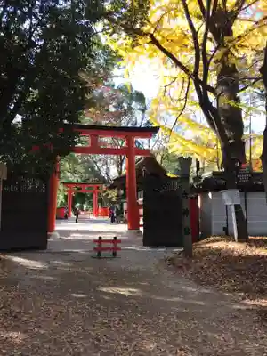 河合神社(鴨川合坐小社宅神社)の鳥居