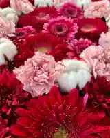 鹿島台神社の自然