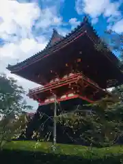 仁和寺(京都府)