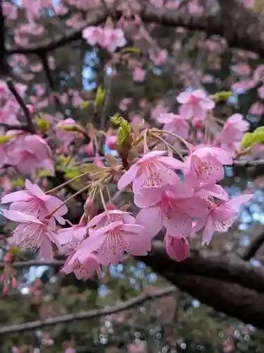 代々木八幡宮(東京都)