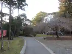 醍醐寺(京都府)