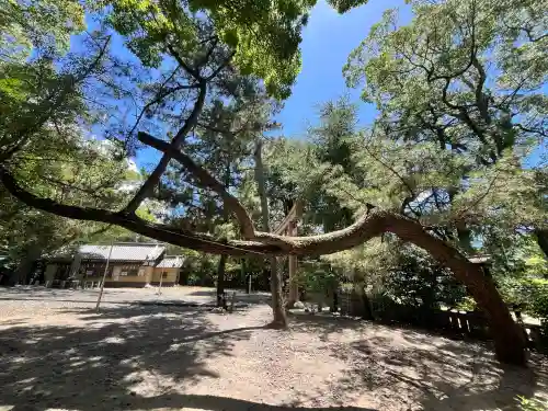 和歌山縣護國神社(和歌山県)