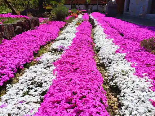 寿量山　速成寺(奈良県)