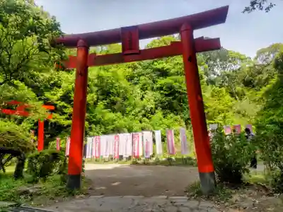 天開稲荷社の鳥居