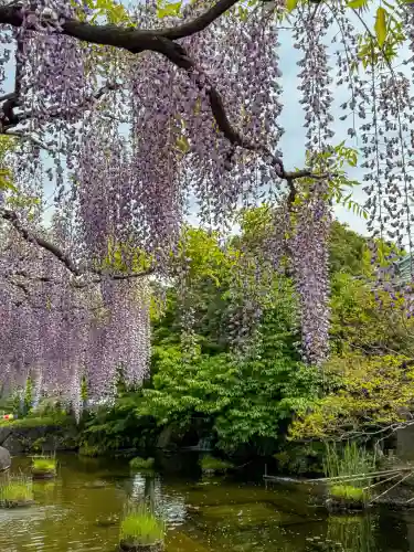 西新井大師総持寺(東京都)