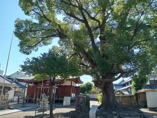 深江稲荷神社(大阪府)