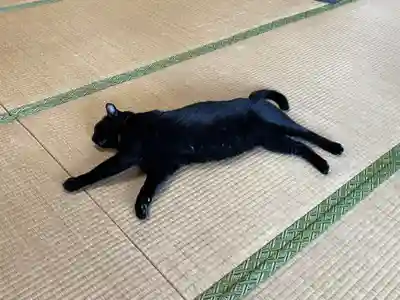 高司神社〜むすびの神の鎮まる社〜(福島県)